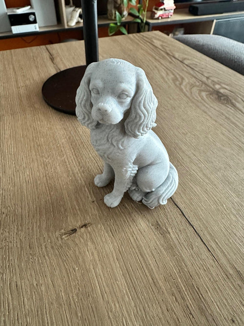 Zittend Cavalier King Charles-beeld – Hondje met marmerlook