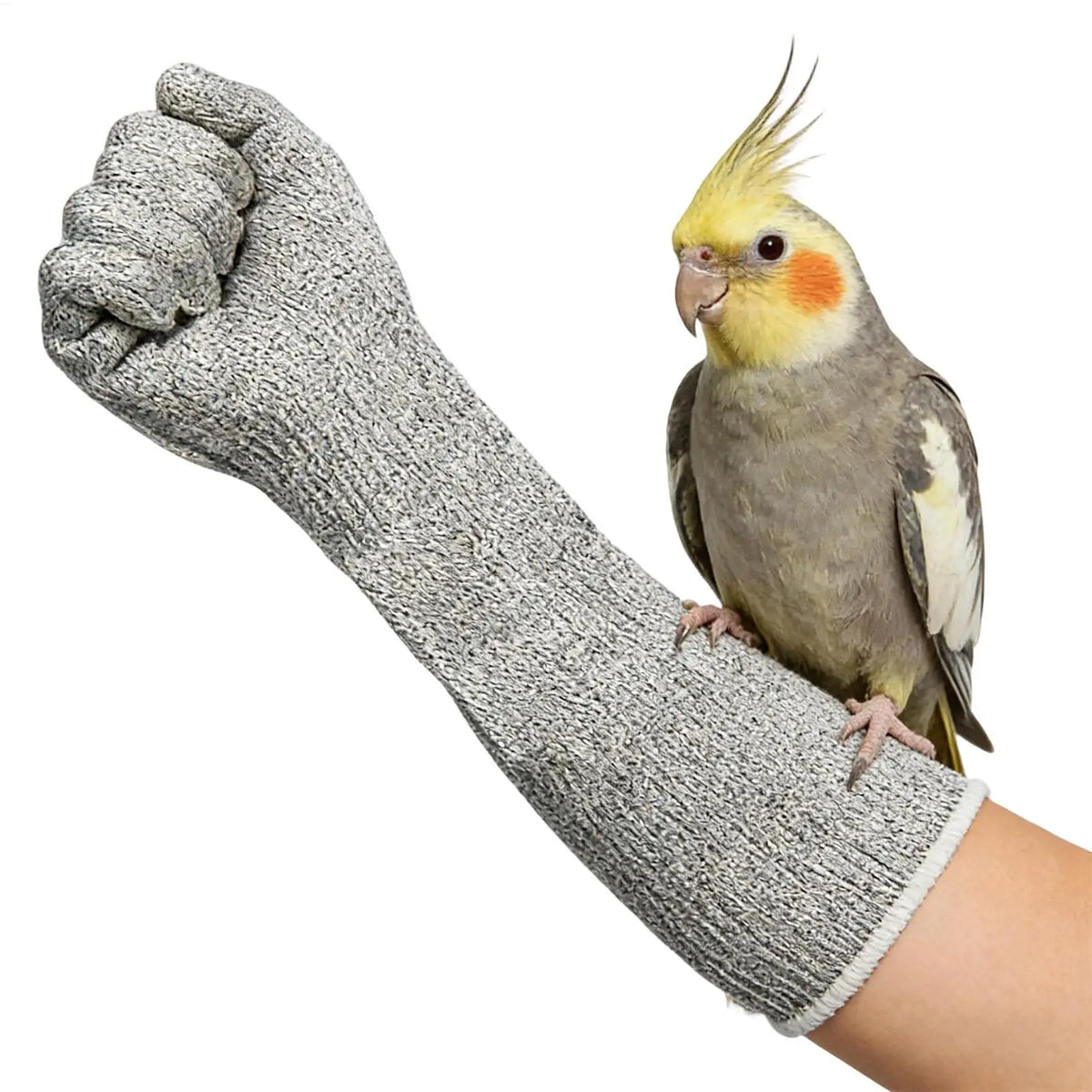 Gants de Protection Résistants aux Morsures pour Animaux de Compagnie