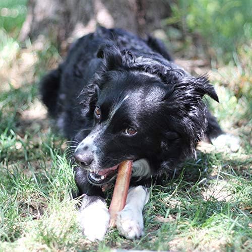 100% natuurlijke Braziliaanse runderkophuidsticks - zak van 450 g, 10,00% korting bij automatische verlenging