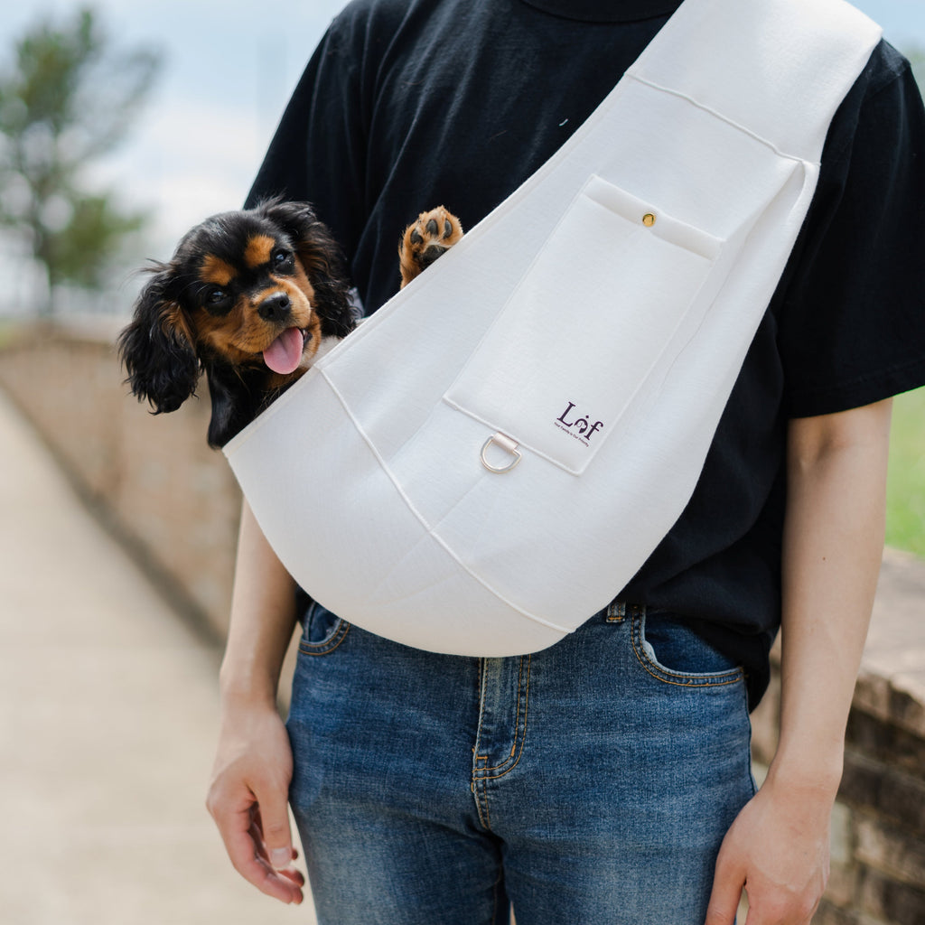 Sac bandoulière en néoprène pour petit chien ou chat – jusqu'à 6,8 kg ...
