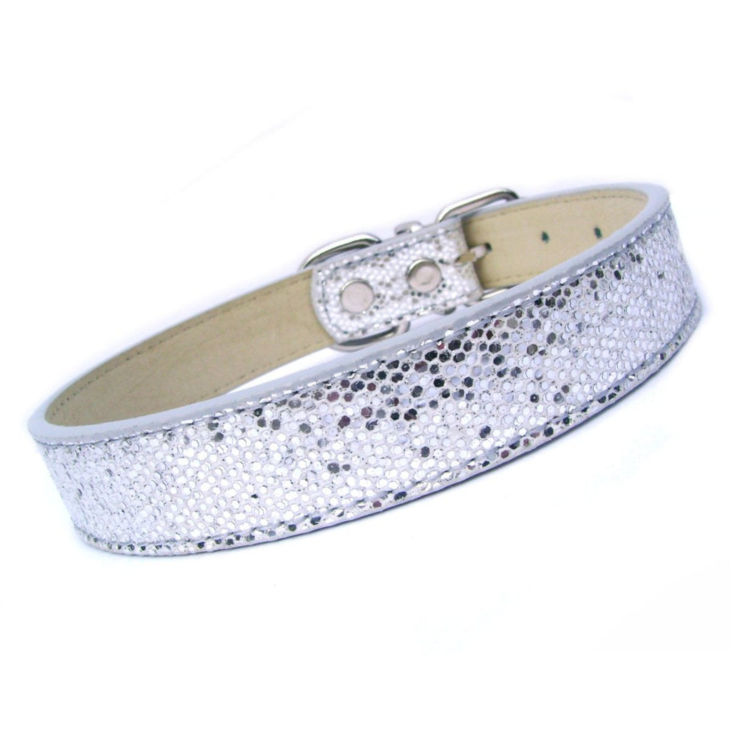 Disco Fever halsband en riemset