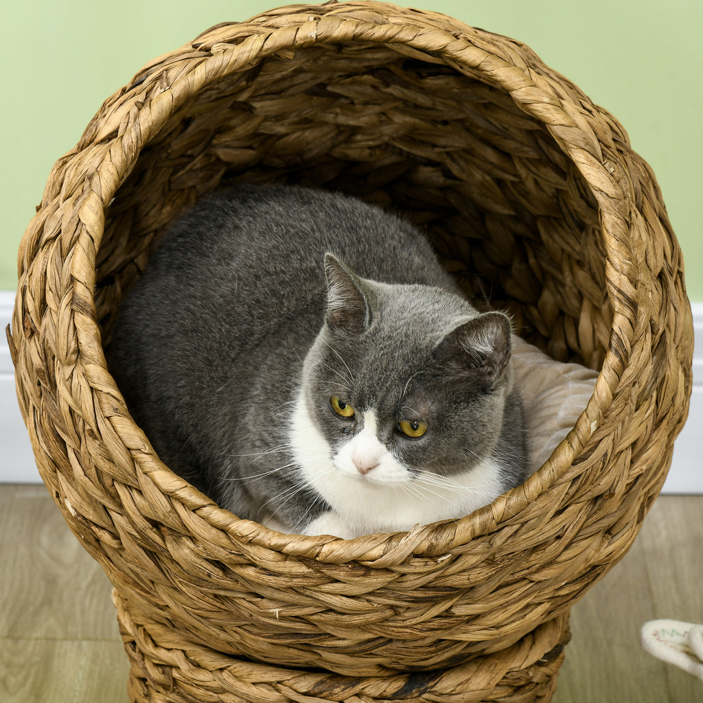 Panier chat lit surélevé chat cosy niche grotte à chat grand confort dim. 40L x 37l x 51H cm coussin moelleux beige inclus