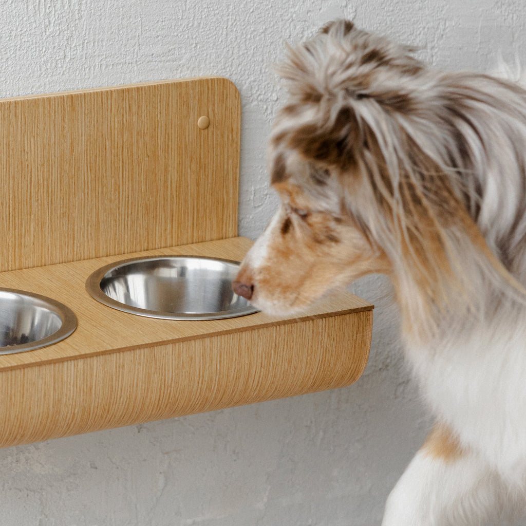 Hanging wooden dog feeder with wall protection, Floating raised dog bowls