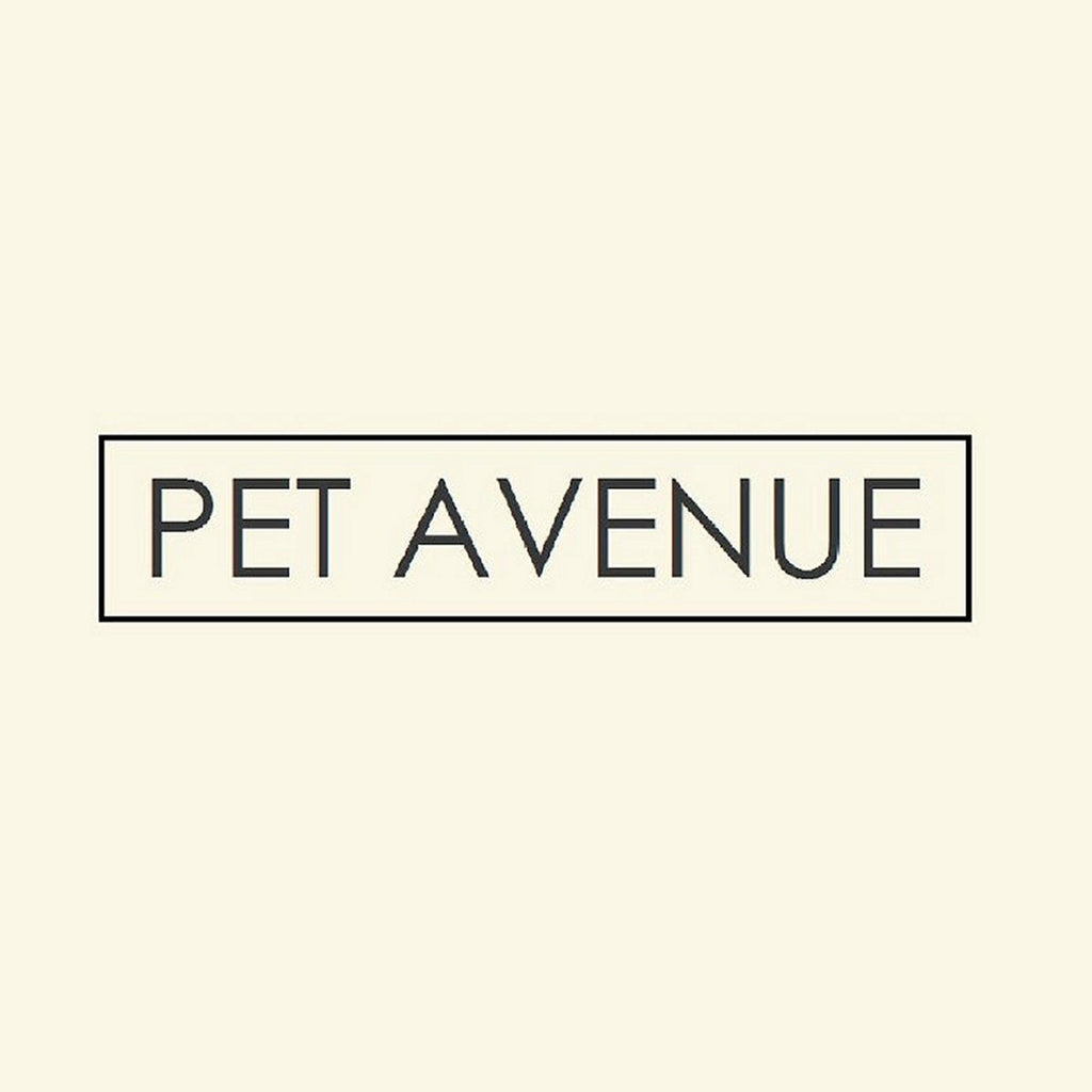 Pet Avenue Winter Couture hondenjassenpakket