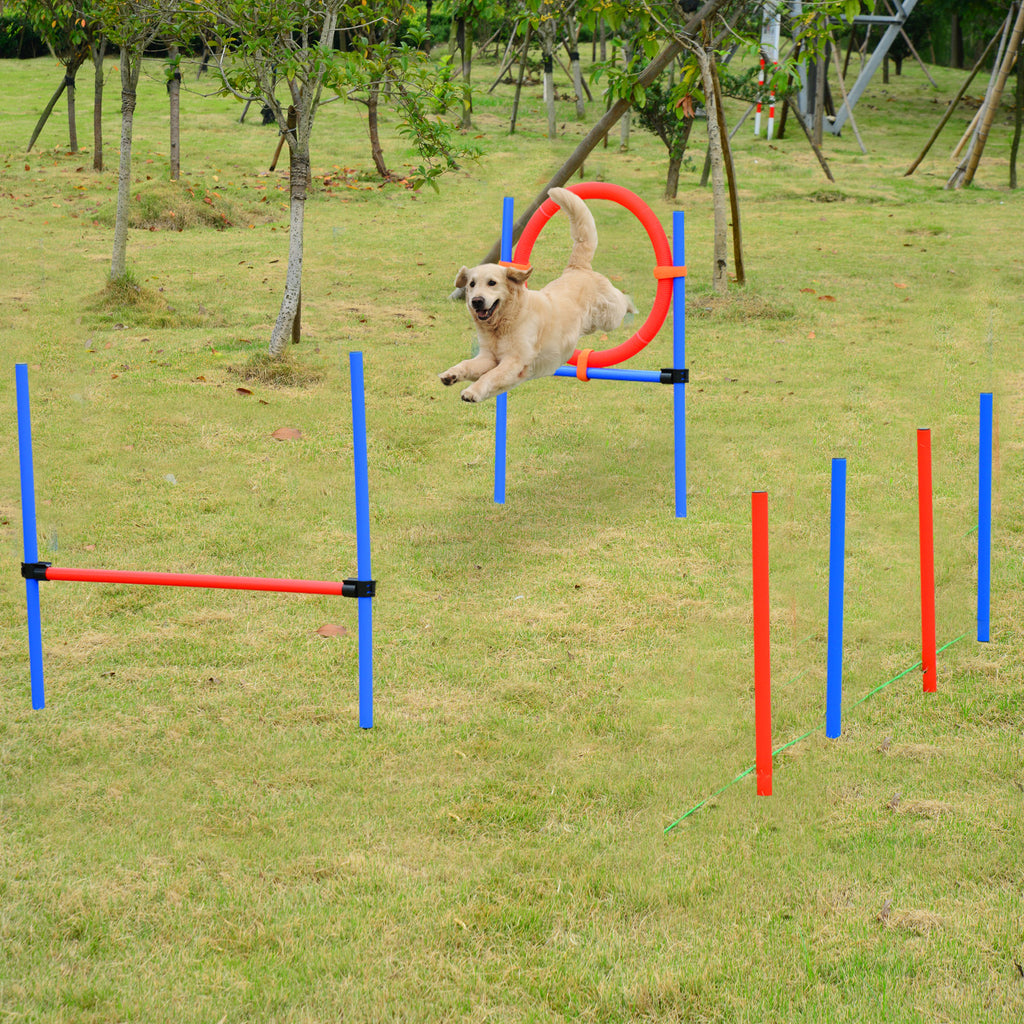 Agility sport pour chiens équipement complet obstacles et entrainement 11 pièces parcours agility chien avec sac de transport acier rouge et bleu