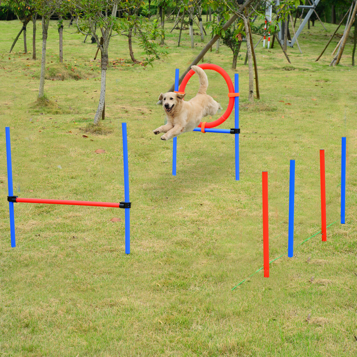 Agility sport pour chiens équipement complet obstacles et entrainement 11 pièces parcours agility chien avec sac de transport acier rouge et bleu