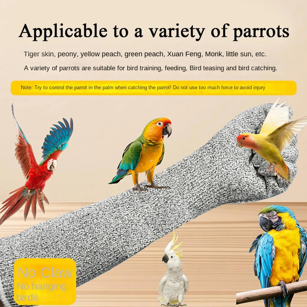 Kattenhandschoenen Bijtbestendig Krasbestendig Bijtbestendig Multifunctionele Beschermende Kattenhandschoenen voor het Verzorgen van Huisdieren Papegaaien Vogels