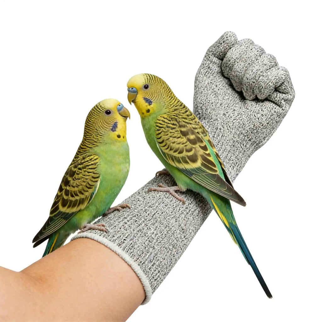 Protégez-vous des griffures avec ces gants anti-morsures  ! Idéal pour le toilettage de vos oiseaux et autres animaux.
