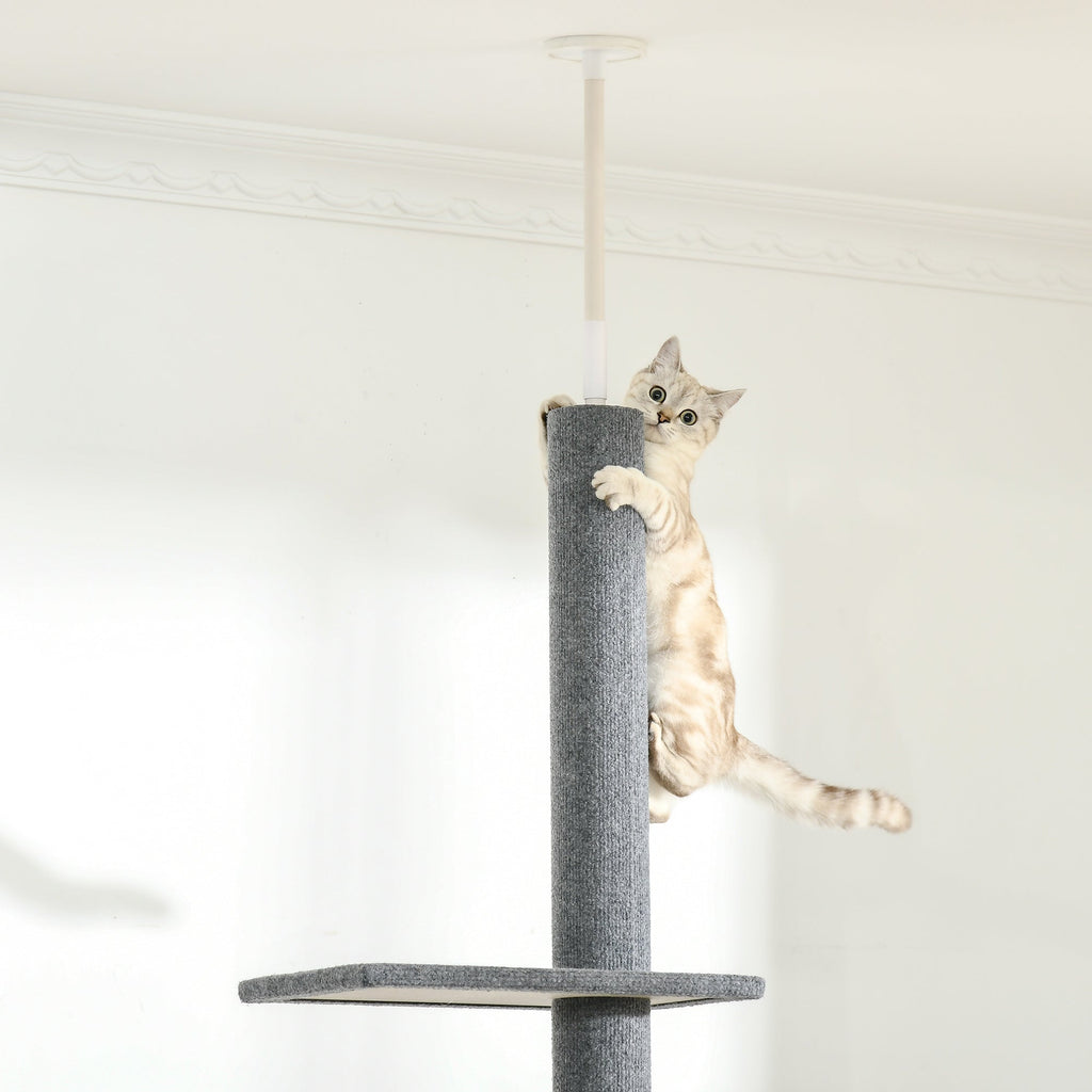 Arbre à chat du sol au plafond poteau à griffer hauteur réglable dim. 43L x 27I x 228-260H cm 4 niveaux d'activités gris - Alma Nova Care