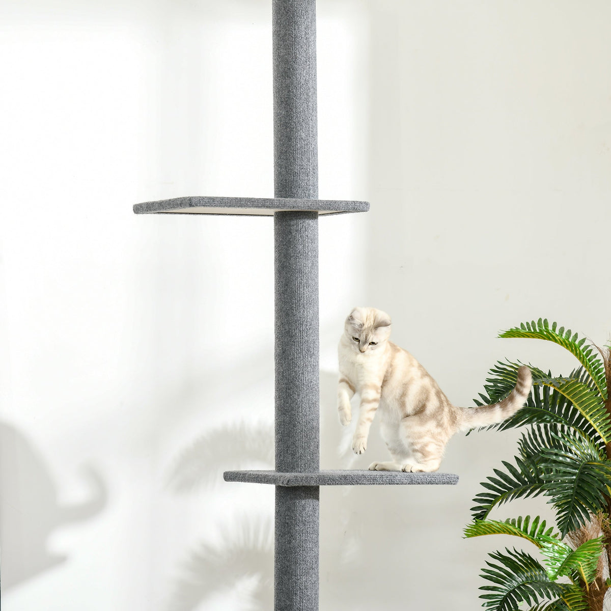 Arbre à chat du sol au plafond poteau à griffer hauteur réglable dim. 43L x 27I x 228-260H cm 4 niveaux d'activités gris - Alma Nova Care