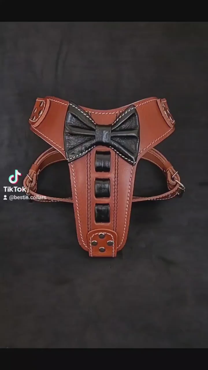 Bestia ''Bowtie'' lederen hondentuig