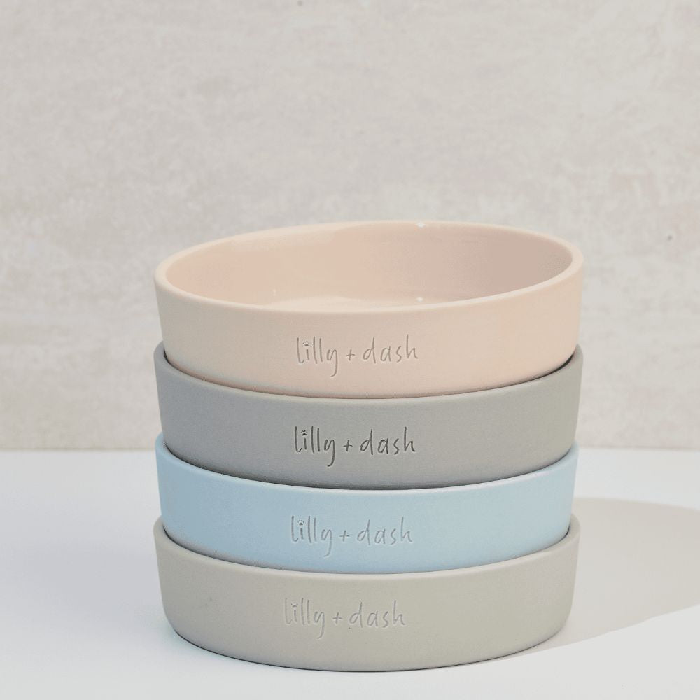 cat collars