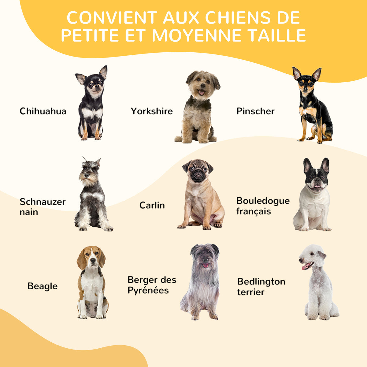 Luxe modulaire puppyren van epoxystaal met afsluitbare deur voor honden, konijnen, knaagdieren, kleine dieren, voor binnen en buiten 80 x 80 cm zwart