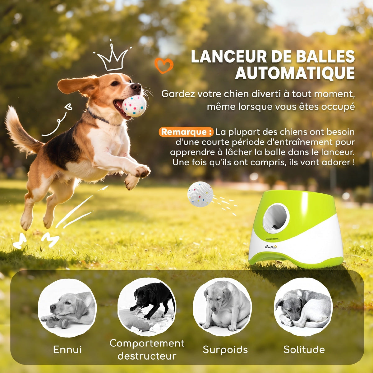 Lanceur de Balles Automatique avec 3 Balles en ETPU, 3 Réglages de Distance 6m/10m/14m, Intérieur et Extérieur, Vert - Alma Nova Care
