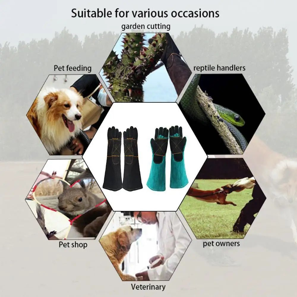 Pet Gloves Bite-resistant Gloves Cat Dog Cutting-proof Anti-thorn Pet Gloves Pet Handling Gloves Two-layer Leather Support Pad - Alma Nova Care