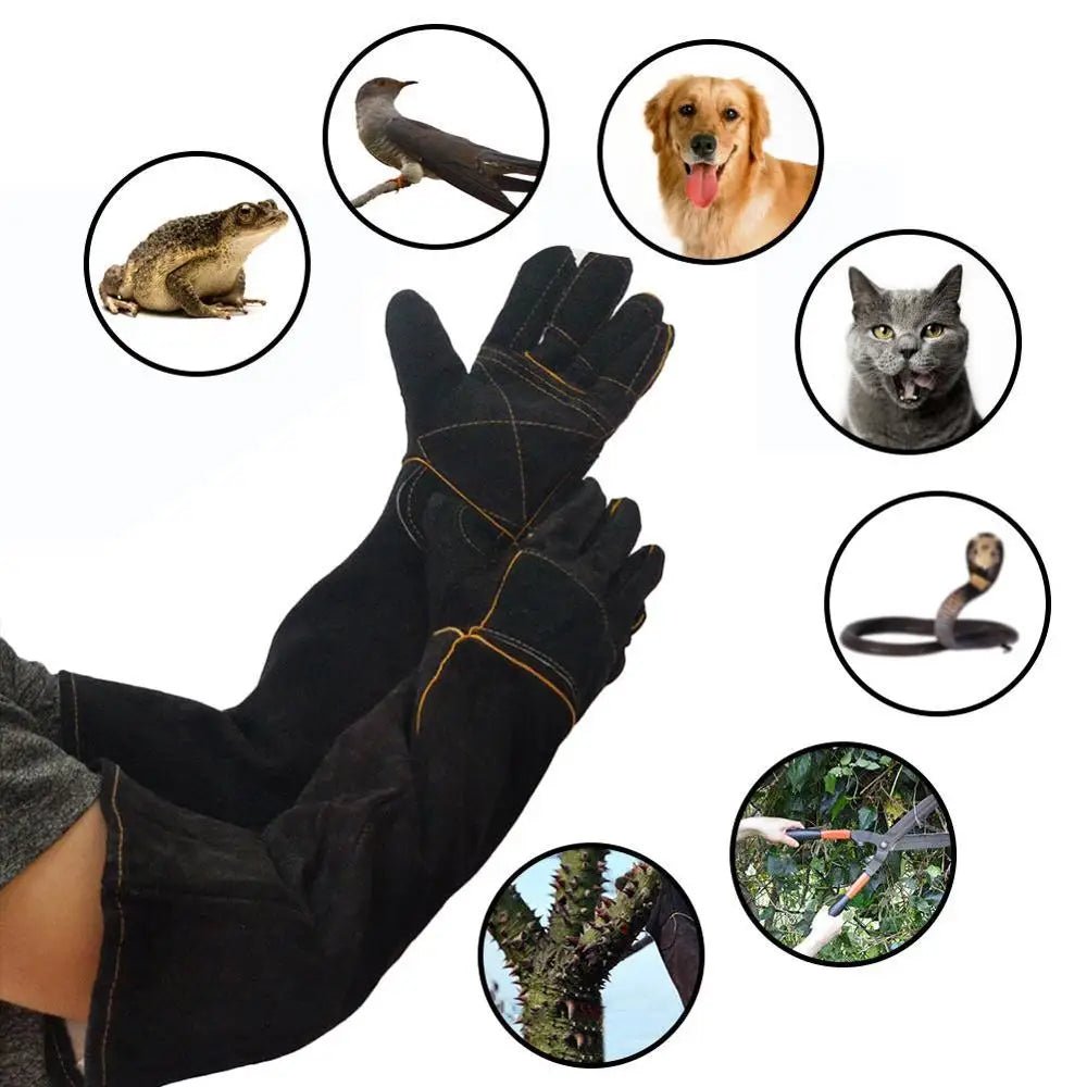 Pet Gloves Bite-resistant Gloves Cat Dog Cutting-proof Anti-thorn Pet Gloves Pet Handling Gloves Two-layer Leather Support Pad - Alma Nova Care