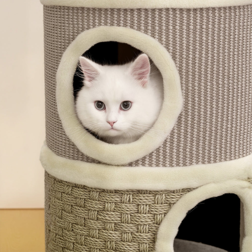 Tonneau à gratter pour chat arbre à chat sisal naturel et herbiers marins recouvert de peluche 35,5x35,5x49cm kaki café - Alma Nova Care