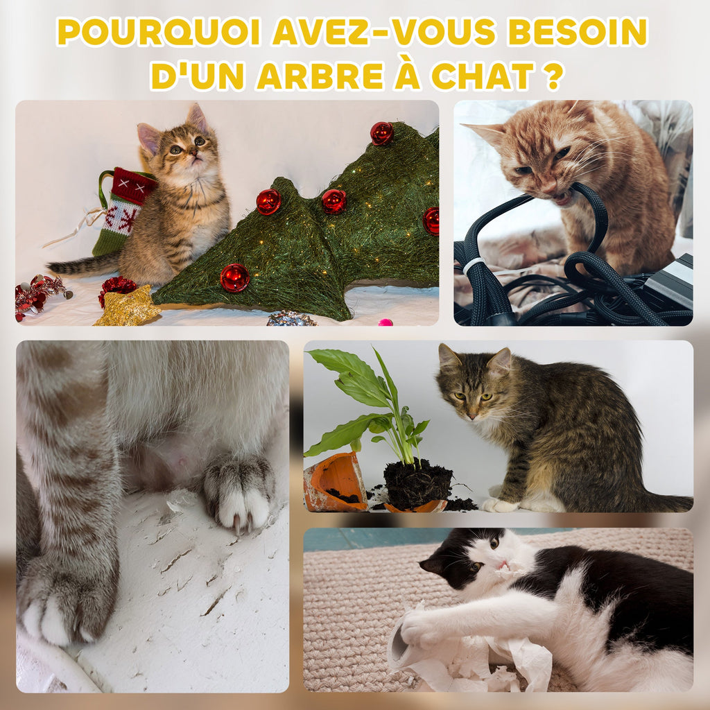 Tonneau à gratter pour chat arbre à chat sisal naturel et herbiers marins recouvert de peluche 35,5x35,5x49cm kaki café - Alma Nova Care