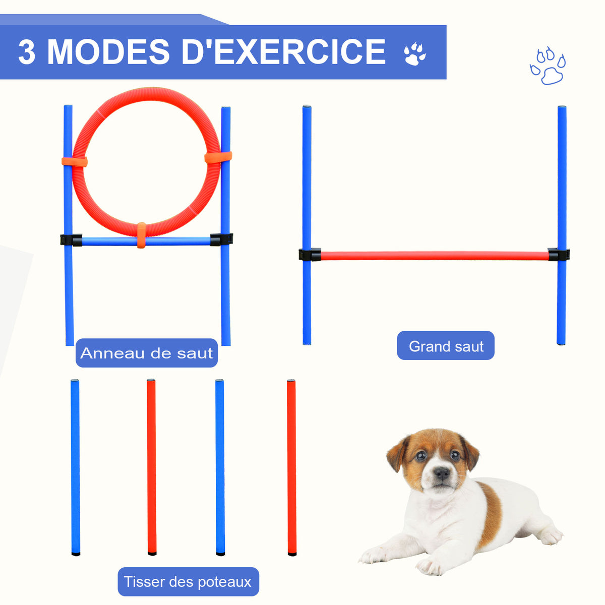 Agility sport pour chiens équipement complet obstacles et entrainement 11 pièces parcours agility chien avec sac de transport acier rouge et bleu